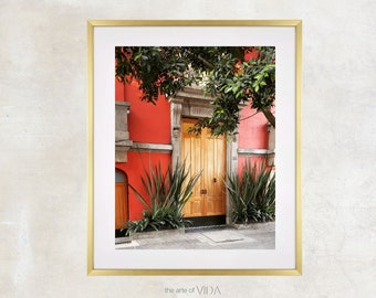 Doors of Mexico City, Travel Photography, Mexican Architecture, Nature Photography, Landscape Print, Colorful Home Decor