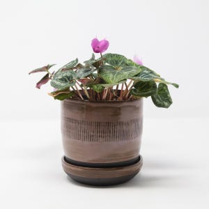 1 Hand-Crafted, Ceramic, Chocolate Brown Stoneware Planter with Saucer and Drainage Hole