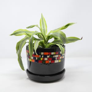 May include: A black ceramic planter with a colorful mosaic tile design around the middle, holding a green and white striped plant. The planter includes a matching saucer. The plant has long, slender leaves.
