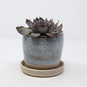 May include: A dark purple succulent plant potted in a cylindrical ceramic planter with a glossy light blue and brown drip glaze finish. The planter sits on a matching circular speckled beige saucer with a textured, unglazed clay base.