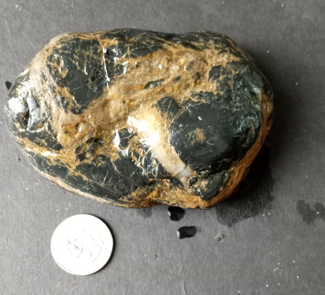 Cool Rock From Lake Michigan Great Lakes Rock Rock - Etsy