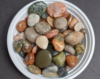 Unpolished Medium Sized Rocks, Great Lakes Rocks and Fossils, Tumbling Stones, Lake Michigan rocks, Assortment of Rocks and Fossils