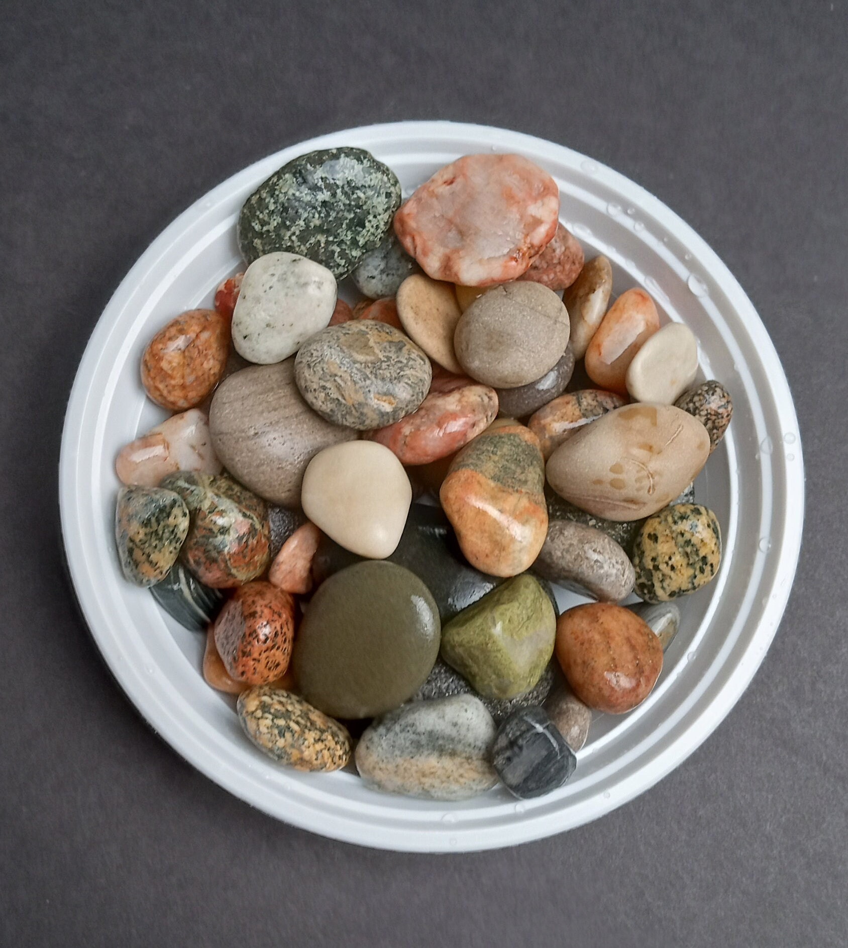 1 Pound Unpolished Lake Michigan Rocks: Assorted Tumbling Stones & Fossils