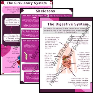 Paquete "Dentro del cuerpo humano": Esqueletos, sistema digestivo y sistema circulatorio. Pósters didácticos y organizadores de conocimientos.