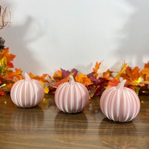 Puede incluir: Tres calabazas rosas con rayas blancas, dispuestas en fila. Están sobre una superficie de madera, con hojas de otoño en el fondo. Se ve una linterna decorativa.