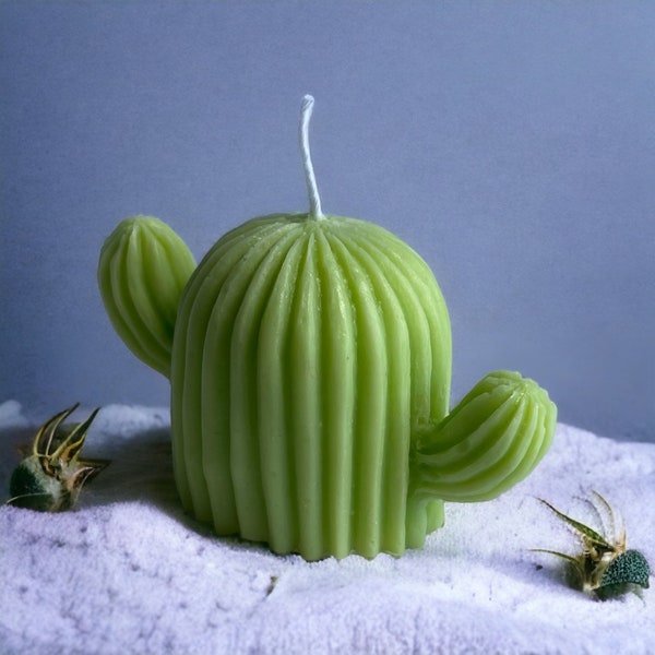 Bougie cactus