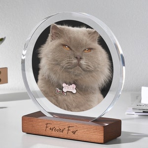 Custom Cat Memorial Plaque Acrylic Photo Print for Cat Lover - Engraved Wood Base Round Plaque Cat Photo Frame - Handmade Cat Picture Frame