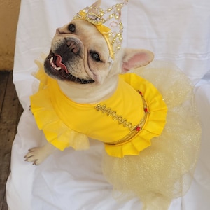 Belle cat dog dress / dog cat pet Halloween Princess beauty and the beast apparel costume