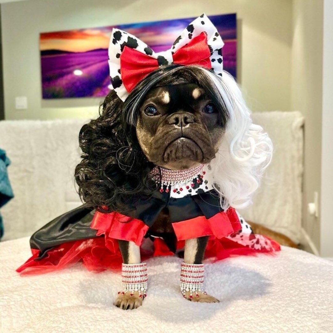 Cruella Deville Dress Dog Cat Pets Apparel Halloween Princess Costume Birthday Etsy