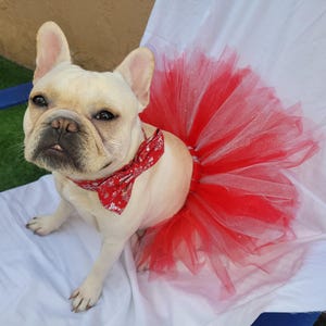 Red Christmas Tutu / Pets, Cats, Dogs Apparel