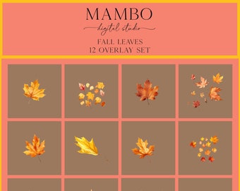 Fall Leaves Photoshop Overlay Set, Photoshop Overlays, Digital Overlay, Photoshop Editing Maternity Portrait, Wedding