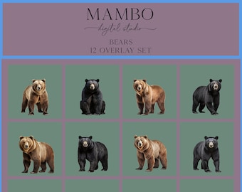 Bears Photoshop Overlay Set, Photoshop Overlays, Digital Overlay, Photoshop Editing, Pets, Animals