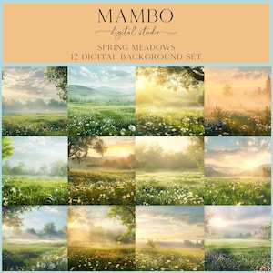 Digital bakgrundsuppsättning för vårängar, Photoshop-bakgrund, digital bakgrund, porträtt, konst, dans, fotografi