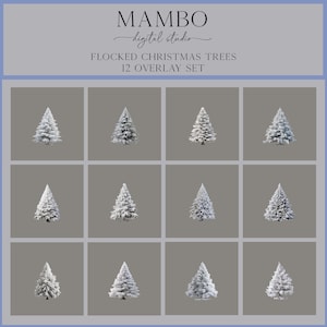 May include: Twelve digital overlays of flocked Christmas trees in various sizes. The trees are white and are set against a gray background.
