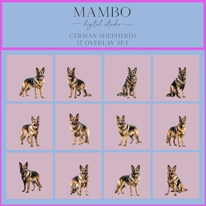 German Shepherd Dogs Photoshop Overlay Set, Photoshop Overlays, Digital Overlay, Photoshop Editing Pets, Animals