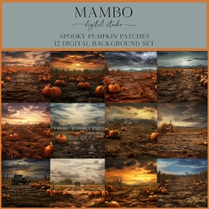 May include: A set of 12 digital backgrounds featuring a spooky pumpkin patch with a dirt path, pumpkins, and a variety of autumnal skies.  The backgrounds are perfect for Halloween-themed projects.