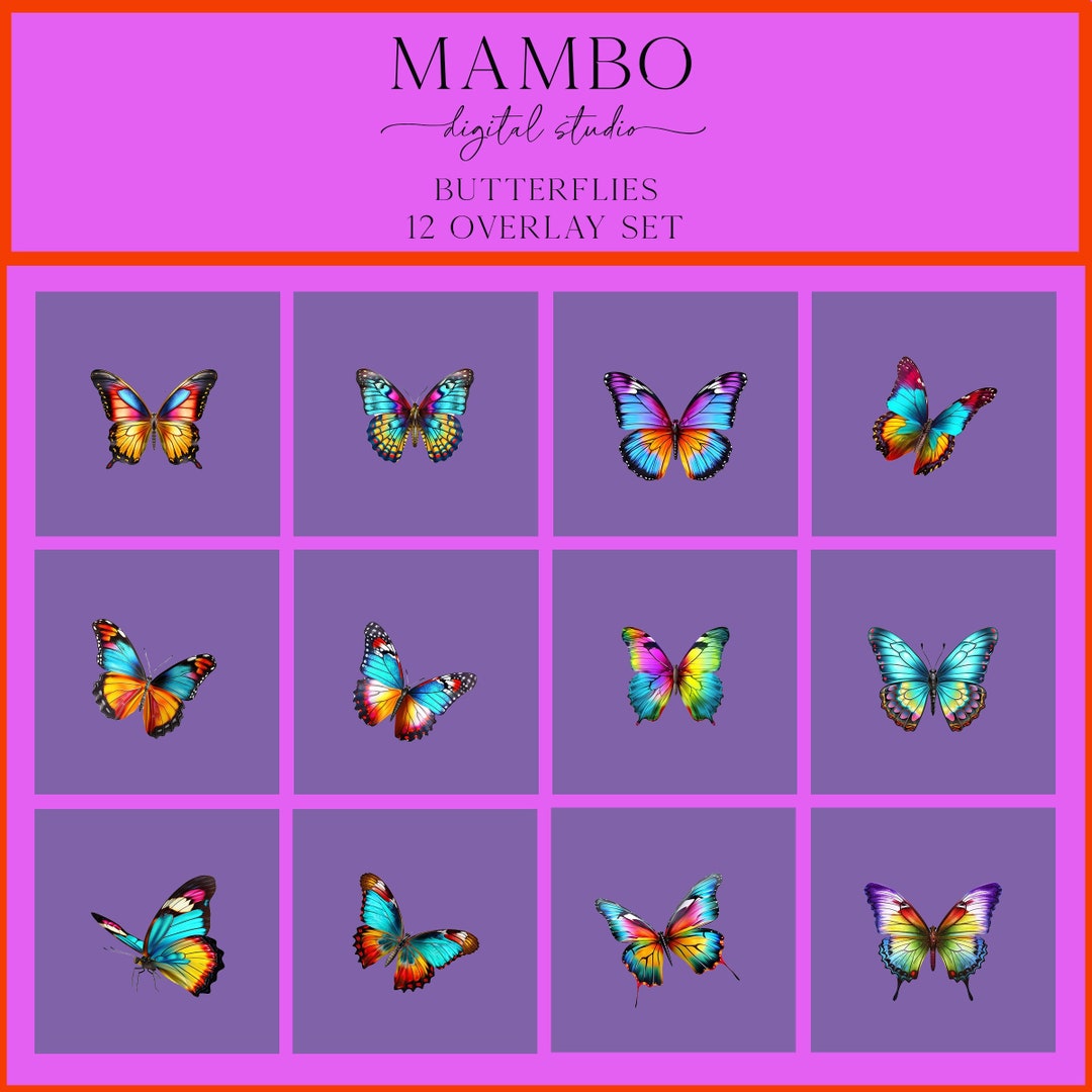 Butterflies Photoshop Overlay Set, Photoshop Overlays, Digital Overlay ...