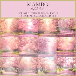 Spring Cherry Blossom Path Scenes Digital Backdrop Set, Photoshop Background, Digital Background, Portrait, Art, Dance, Photography