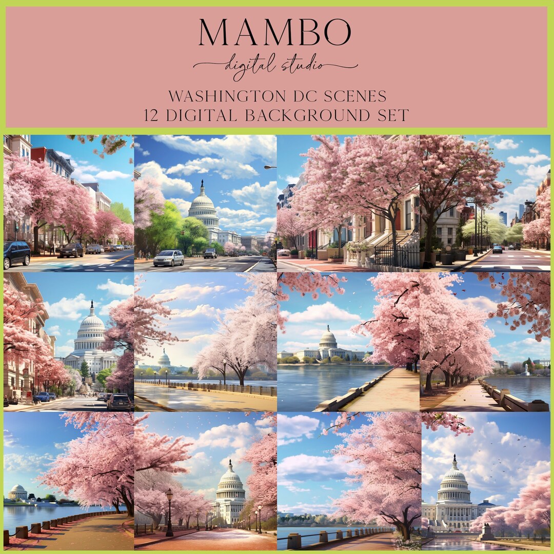 Wa Backdrop Washington DC Digital Backdrop Set, Photoshop Background, Digital ...