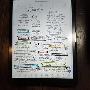 May include: Handwritten notes on a tablet screen about the kidneys, including anatomy, scan tips, pathology, and common findings. The notes include diagrams and text, such as "The Kidneys", "Scan Tips", "Pathology", "Simple Cyst", "Hydronephrosis", "Renal Cell Carcinoma", "Adenoma", "Angiomyolipoma", "Multicystic Dysplastic Disease", and "Polycystic Kidney Disease".