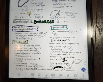 LIVER Sonography / Ultrasound Visual Reference Study Notes