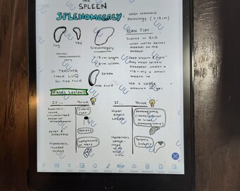 SPLEEN Sonography / Ultrasound Visual Reference Study Notes