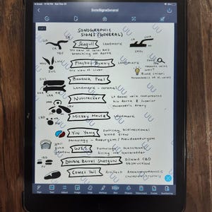 Sonographische Zeichen (Allgemeine Ultraschall) Visuelle Referenz