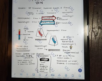 PORTAL VEIN Sonography / Ultrasound Visual Reference Study Notes