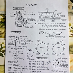 Könnte beinhalten: Ein weißes medizinisches Lehrblatt mit der Überschrift Breast, das handgezeichnete Diagramme und Texte in schwarzer Tinte enthält. Es zeigt die Anatomie der Brust, Scan-Techniken und Dokumentationsprotokolle, inklusive Zifferblatt-Diagrammen.
