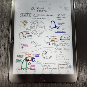 Foetale hart-echografie Visuele referentie: LVOT & RVOT (kleur)