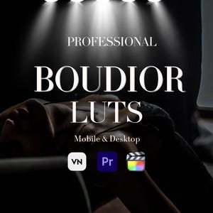 May include: A dark image with the text "PROFESSIONAL BOUDOIR LUTS" in white. Below the text is "Mobile & Desktop". The image also includes the logos for VN, Pr, and a film clapperboard.