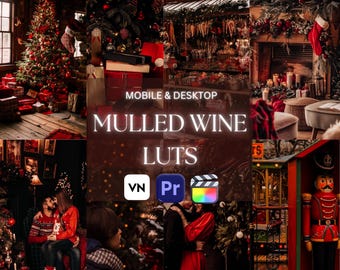 10 LUT vidéo vin chaud, LUT d'étalonnage des couleurs de style film pour Final Cut Pro, Premiere Pro, VN Editor et plus, filtres vidéo .CUBE