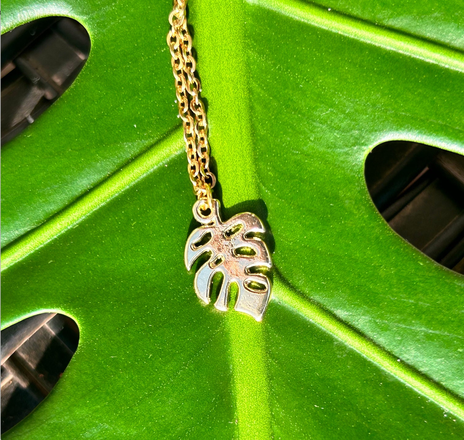 Zierliche Gold Gold Monstera Blatt Halskette | Palmenblatt , tropisches  Blatt Halskette | Monstera Deliciosa Botanischer Schmuck, Pflanzengeschenk,  Pflanzenmutter - Etsy.de