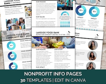 One Pager Nonprofit Canva Templates, Non Profit Program Infographic Flyers, Annual Report Fundraising Sponsorship Company Profile Media Kit