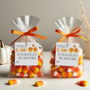 Puede incluir: Dos bolsas transparentes de celofán llenas de caramelos de maíz, atadas con cintas naranjas. Cada bolsa tiene una etiqueta que dice "This might be corny but you are appreciated more than you know!". Caramelos de maíz esparcidos.