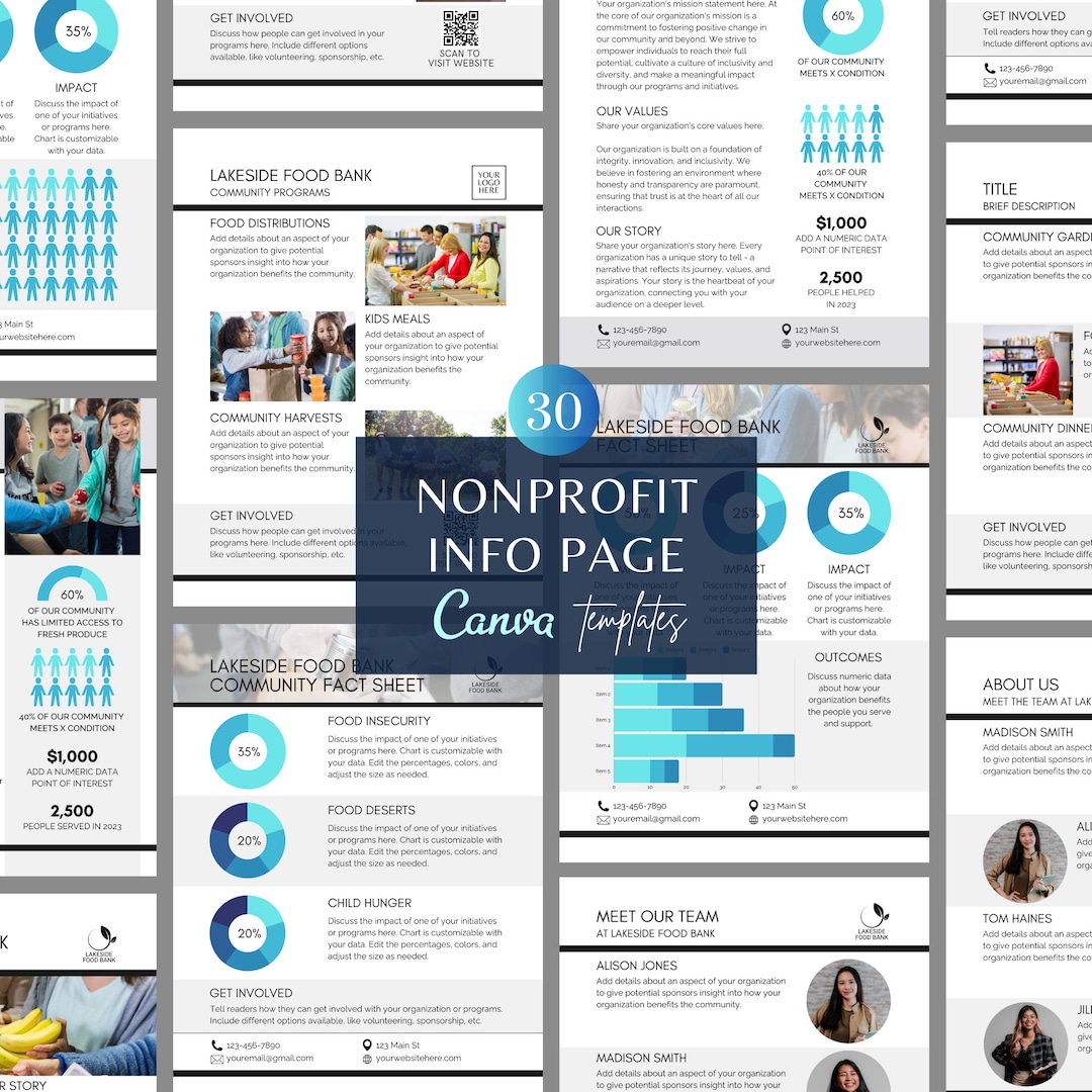 One Pager Nonprofit Canva Templates, Non Profit Program Infographic ...