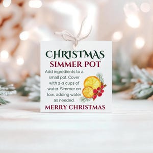 Pode incluir: Uma etiqueta quadrada branca com o texto "CHRISTMAS SIMMER POT" em verde e vermelho. A etiqueta inclui instruções e uma ilustração em aquarela de fatias de laranja e bagas. É amarrada com barbante natural.