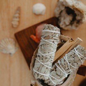 White Sage Sticks - pair of 4&quot; sticks