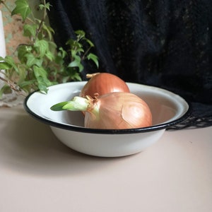 Vintage Enamel White Bowl Rustic Home Decoration Tableware Farmhouse Country Decor