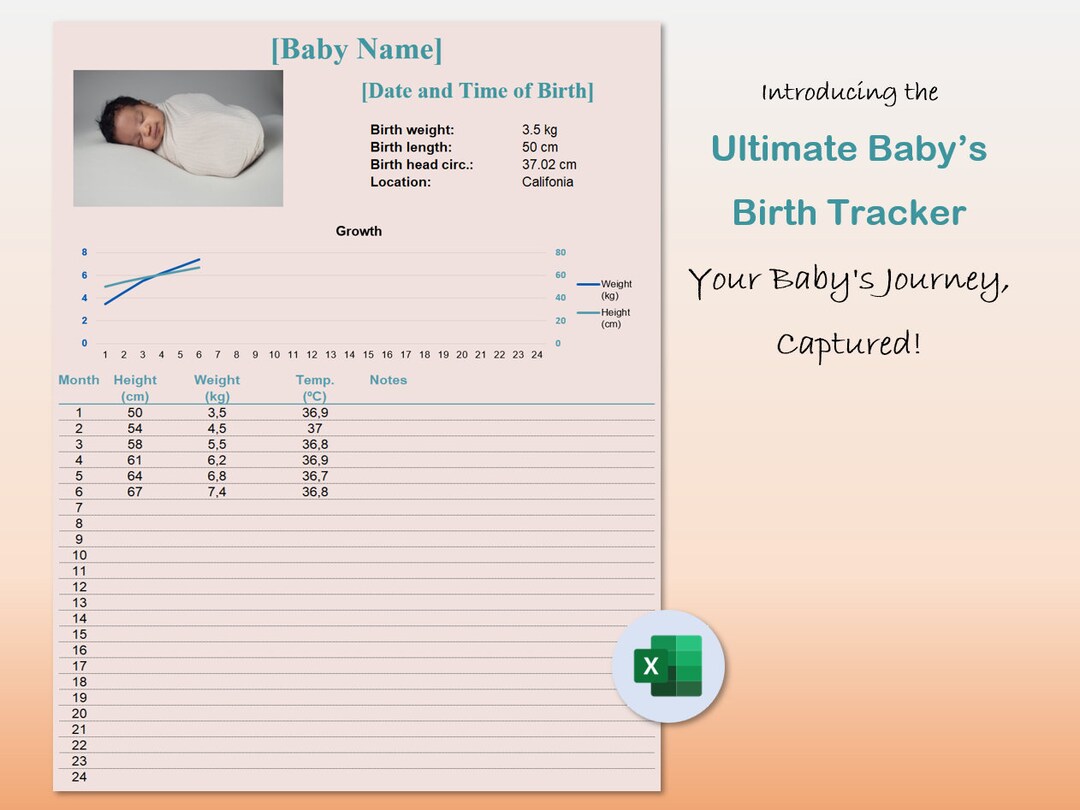 Baby Milestone Tracker Excel Baby First Months Milestones Etsy