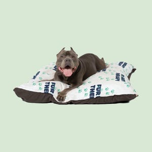 Minimalist Pet Bed– Calming Bed for Dogs, Comfortable Pet Cushion, Big or Small Dog Bed, Animal bed pillow, Cozy pet bed or Pet lover gift