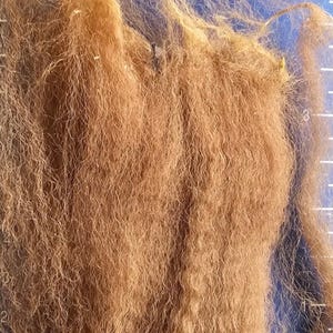 Huacaya Fawn Brown Alpaca Fleece - Handprocessed Raw Washed Fiber, 4.5” Long Staple Length
