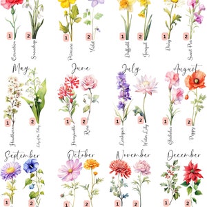 May include: A watercolor illustration of flowers representing each month of the year. The flowers are arranged in columns with the month name at the top of each column. The flowers are labeled with their common names and a number 1 or 2.