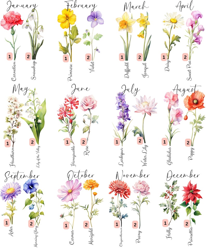 May include: A watercolor illustration of flowers representing each month of the year. The flowers are arranged in columns with the month name at the top of each column. The flowers are labeled with their common names and a number 1 or 2.