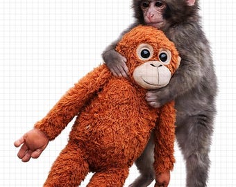 Baby Monkey Hugging Orangutan Plush PNG, Emotional Digital Art (Instant Download)