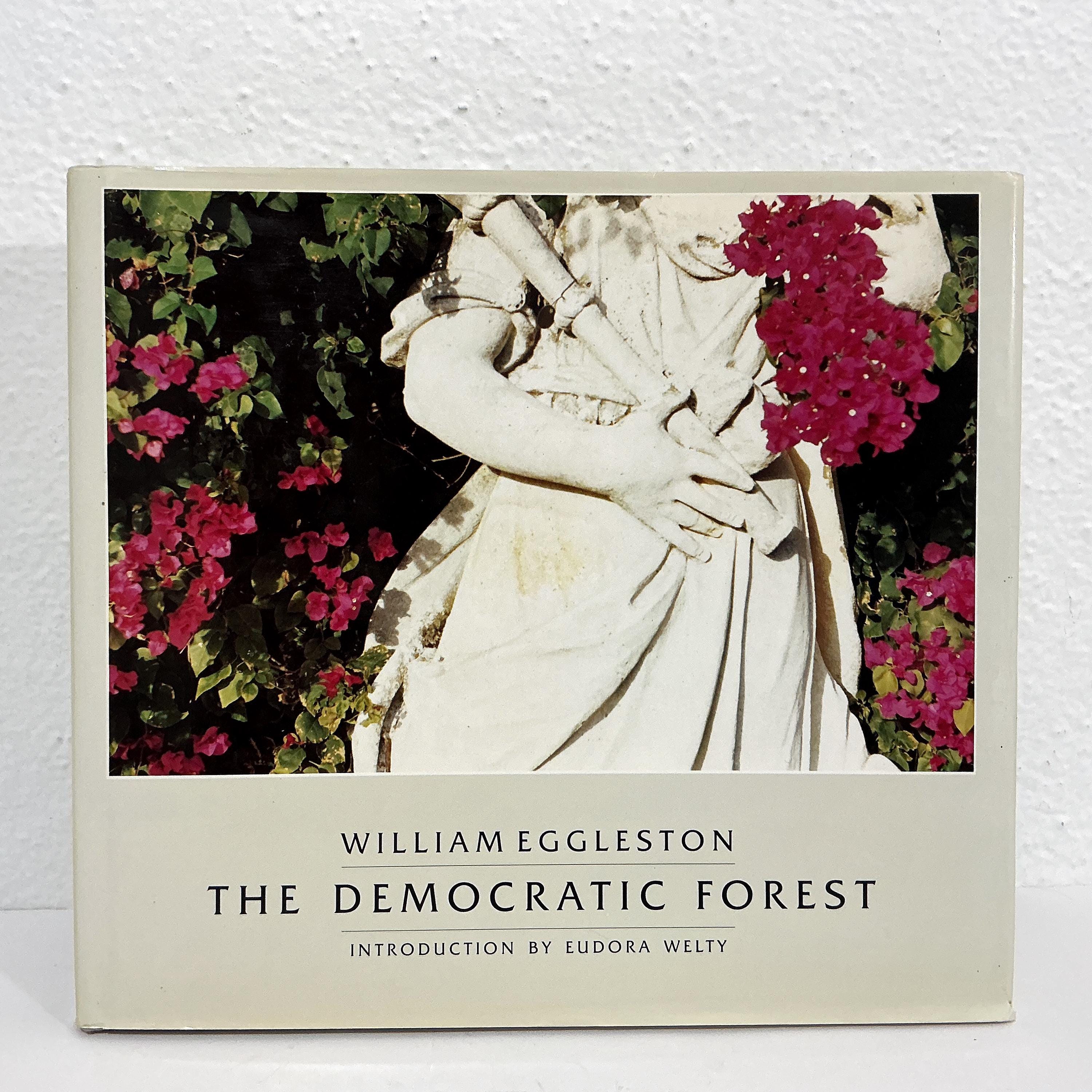 William Eggleston Photography - Etsy