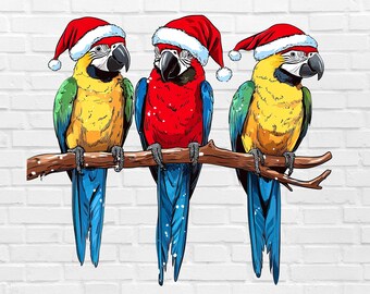 クリスマス オウム PNG | トロピカル クリスマス PNG | ハワイアン クリスマス PNG | ハワイアン クリスマス クリップアート | クリスマス パジャマ PNG | 鳥のパジャマ PJ