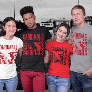 Cardinals Pride Unisex Heavy Cotton Tee: Multi-Sport Fan Shirt