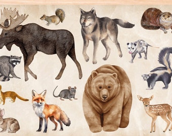 US Mammals Watercolor Style Postcard