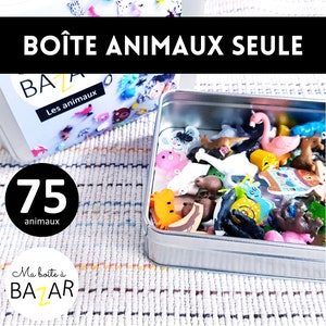 Ma boîte à bazar des animaux, petits objets pour tri Montessori, activité enfant Boîte seule